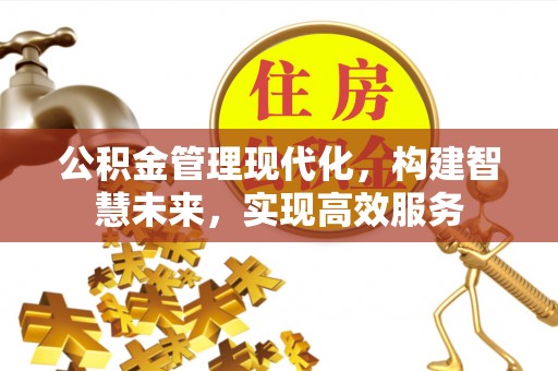 金安公积金管理现代化，构建智慧未来，实现高效服务