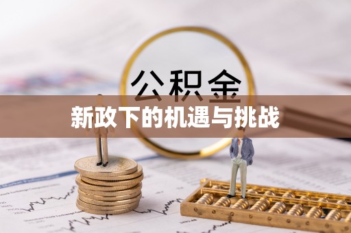 金安新政下的机遇与挑战