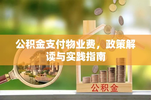 金安公积金支付物业费，政策解读与实践指南