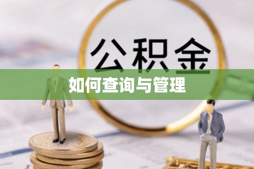 金安如何查询与管理