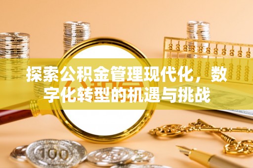 金安探索公积金管理现代化，数字化转型的机遇与挑战