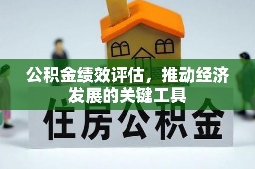 金安公积金绩效评估，推动经济发展的关键工具