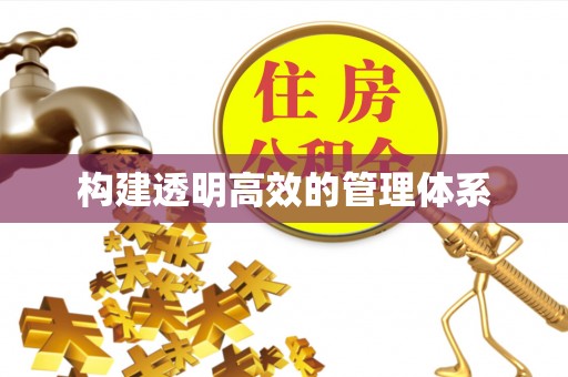 金安构建透明高效的管理体系