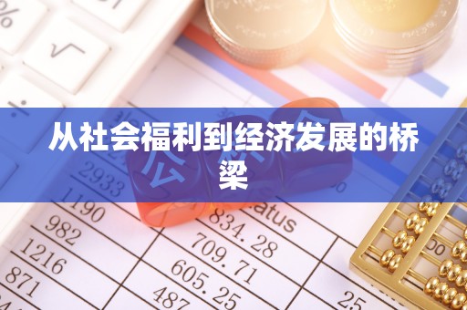 金安从社会福利到经济发展的桥梁