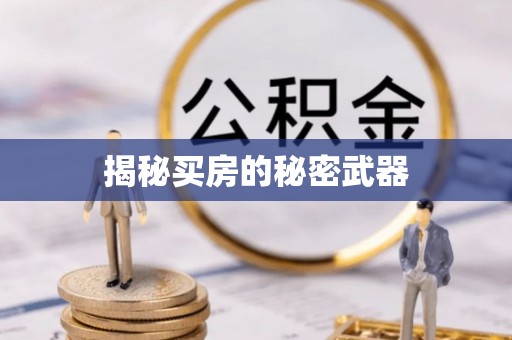 金安揭秘买房的秘密武器