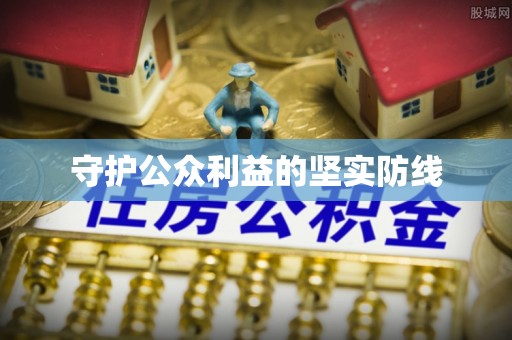 金安守护公众利益的坚实防线