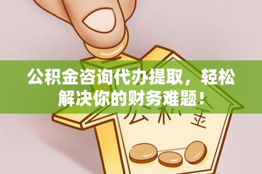 金安公积金咨询代办提取，轻松解决你的财务难题！