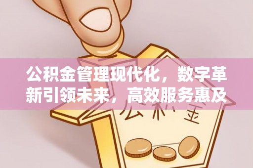 金安公积金管理现代化，数字革新引领未来，高效服务惠及民生