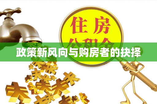 金安政策新风向与购房者的抉择