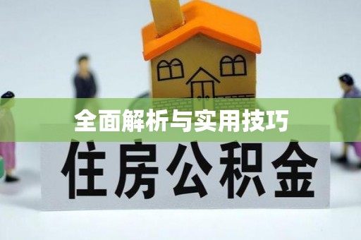 金安全面解析与实用技巧