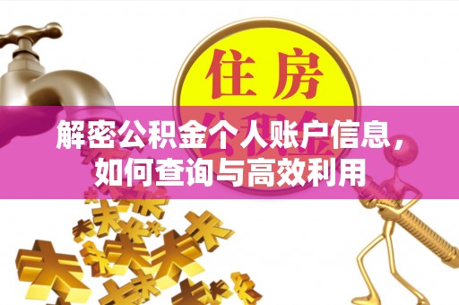 金安解密公积金个人账户信息，如何查询与高效利用