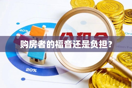 金安购房者的福音还是负担？