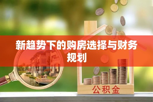 金安新趋势下的购房选择与财务规划