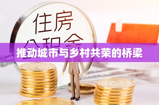 金安推动城市与乡村共荣的桥梁
