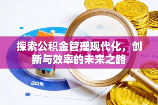 金安探索公积金管理现代化，创新与效率的未来之路