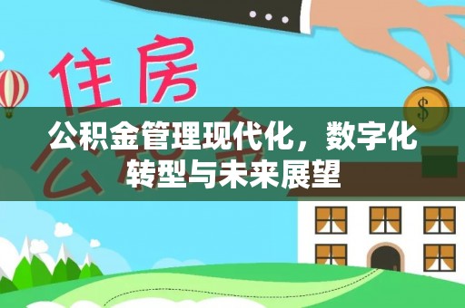 金安公积金管理现代化，数字化转型与未来展望