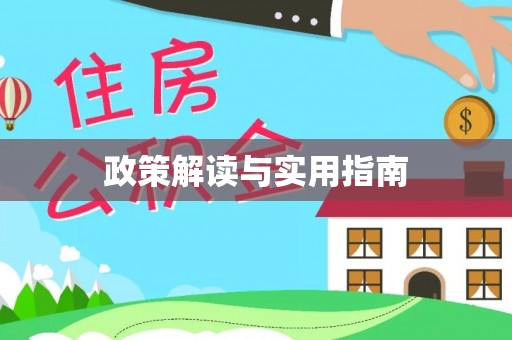 金安政策解读与实用指南