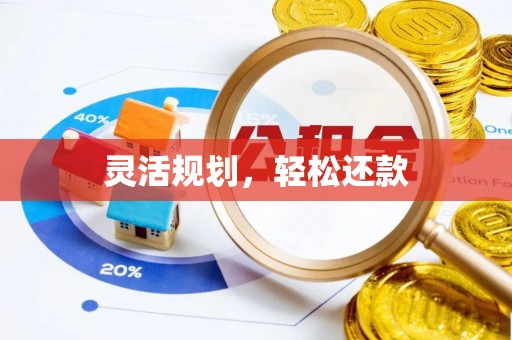 金安灵活规划，轻松还款