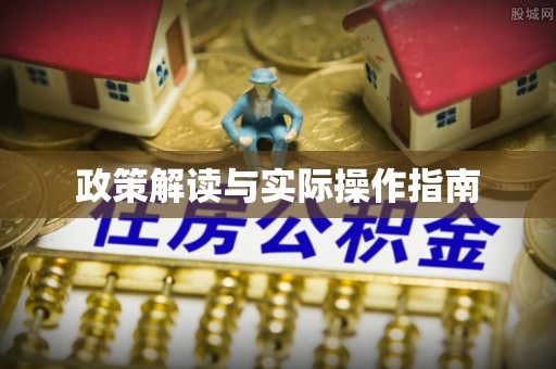 金安政策解读与实际操作指南