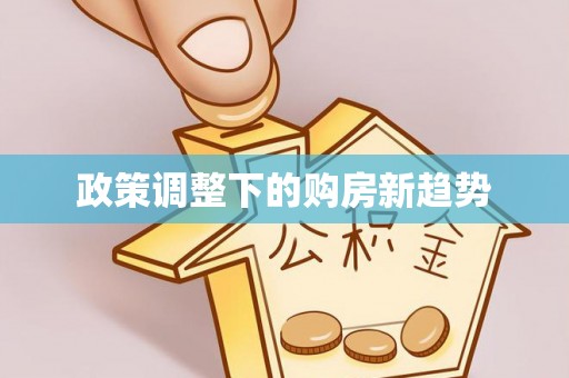 金安政策调整下的购房新趋势