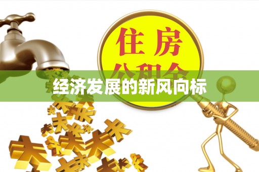 金安经济发展的新风向标