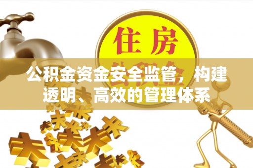 金安公积金资金安全监管，构建透明、高效的管理体系