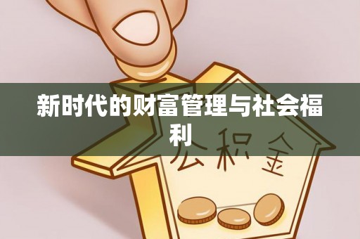 金安新时代的财富管理与社会福利