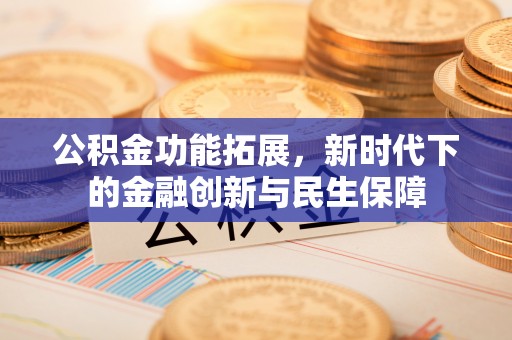 金安公积金功能拓展，新时代下的金融创新与民生保障