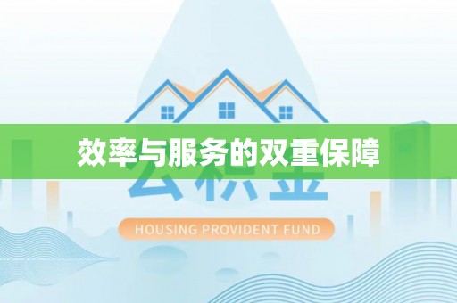 金安效率与服务的双重保障