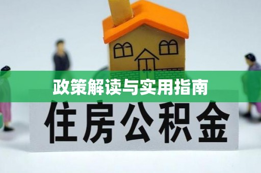 金安政策解读与实用指南