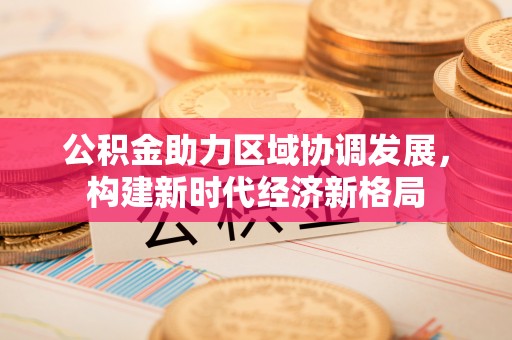 金安公积金助力区域协调发展，构建新时代经济新格局