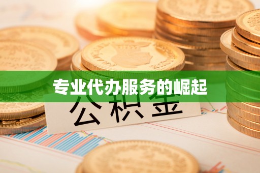 金安专业代办服务的崛起