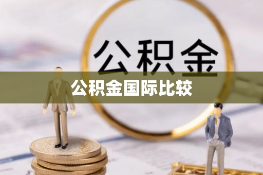 金安公积金国际比较