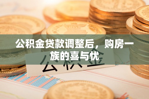 金安公积金贷款调整后，购房一族的喜与忧
