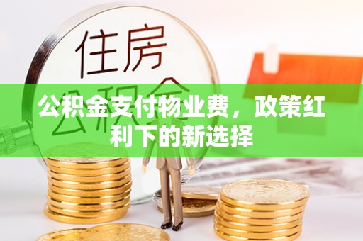 金安公积金支付物业费，政策红利下的新选择