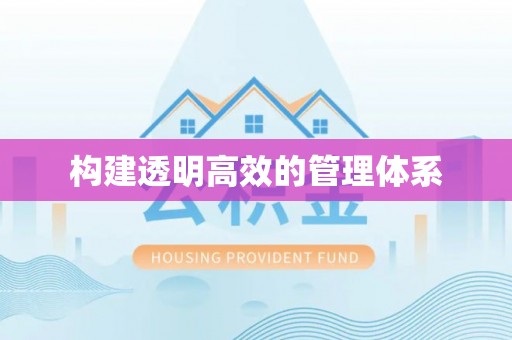 金安构建透明高效的管理体系