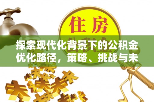 金安探索现代化背景下的公积金优化路径，策略、挑战与未来展望