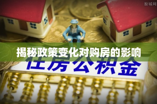 金安揭秘政策变化对购房的影响