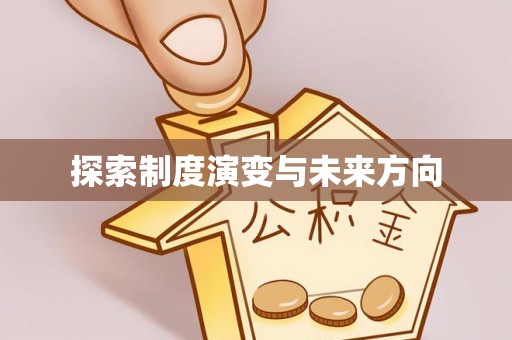 金安探索制度演变与未来方向