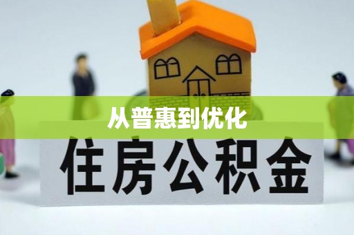 金安从普惠到优化