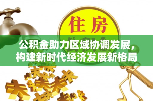 金安公积金助力区域协调发展，构建新时代经济发展新格局