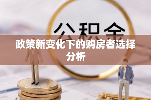 金安政策新变化下的购房者选择分析