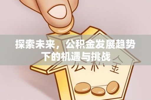 金安探索未来，公积金发展趋势下的机遇与挑战