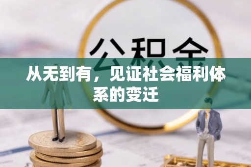 金安从无到有，见证社会福利体系的变迁