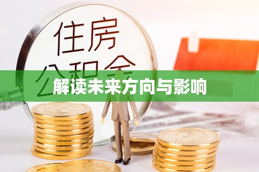 金安解读未来方向与影响