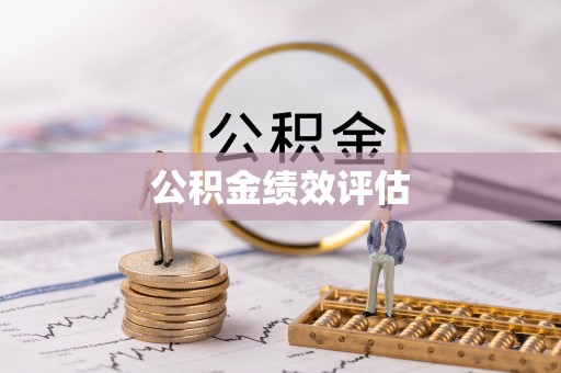 金安公积金绩效评估