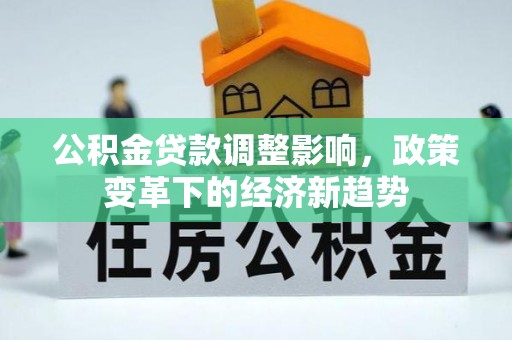 金安公积金贷款调整影响，政策变革下的经济新趋势
