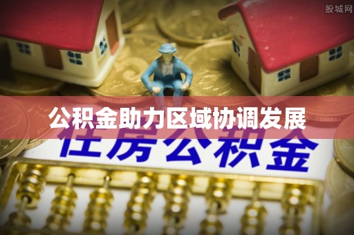 金安公积金助力区域协调发展