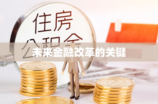 金安未来金融改革的关键
