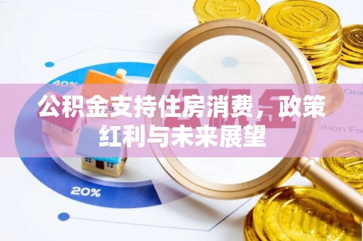 金安公积金支持住房消费，政策红利与未来展望